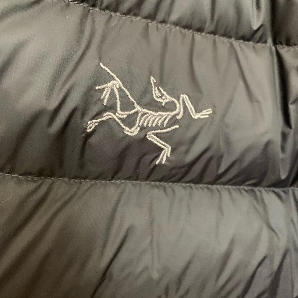 ARC’TERYX CERIUM HOODIE NWT LG